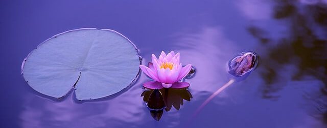 cremation ashes in water {{brizy_dc_image_alt imageSrc=