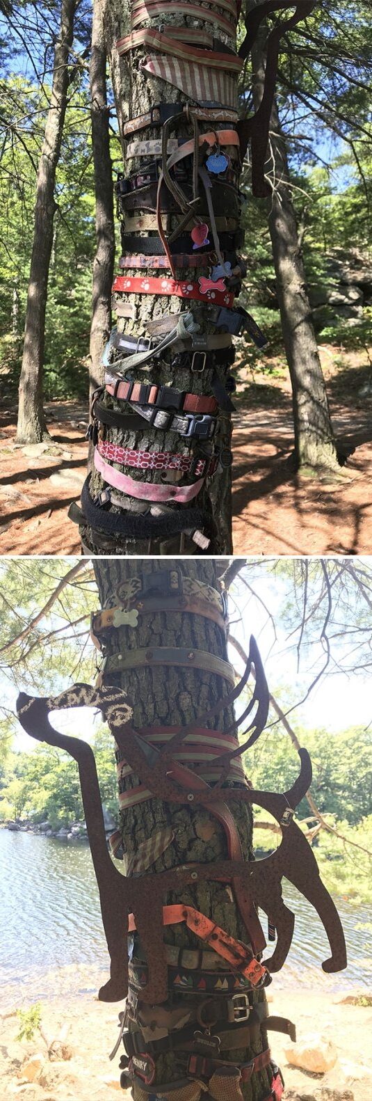 Dog Ashes Tattoo Cremation Ink