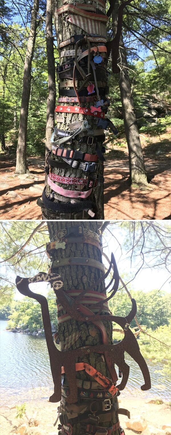 Dog Ashes Into Tattoo Ink Cremation Ink