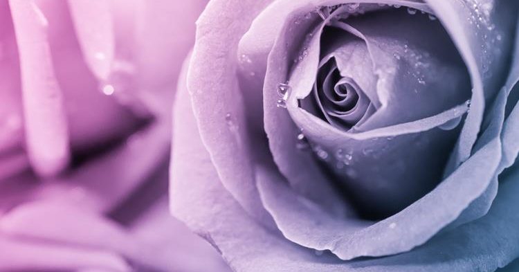 Mixing Tattoo Ink With Ashes - Cremation Ink